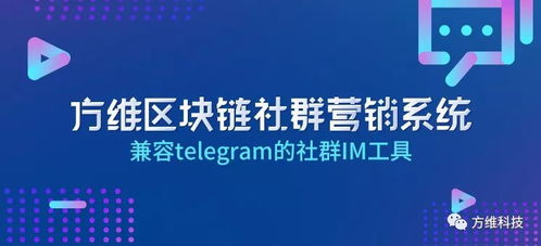 揭秘区块链社群营销秘籍,引爆百万级区块链社群红利