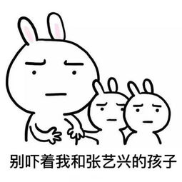 求这张表情包原图