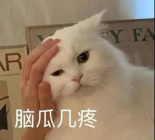 英国留学最晚什么时候提交雅思成绩