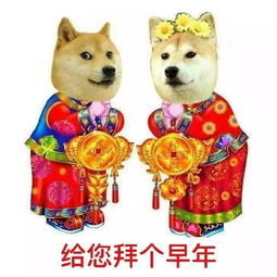 搞笑春节拜年表情包