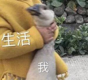 气温逐步回升但这些地方还有霜冰冻或道路结冰