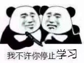 孩子沉迷学习事实可能不是你想的那样