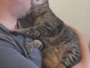 狸花猫走丢一个月,当它回家的那一刻,猫咪的表情让人揪心