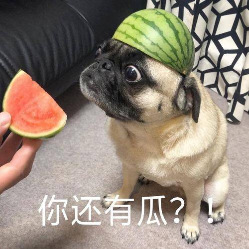 笑话十条这得多大的买卖呀用公司的报告擦屁股