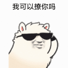 表情包我可以撩你吗