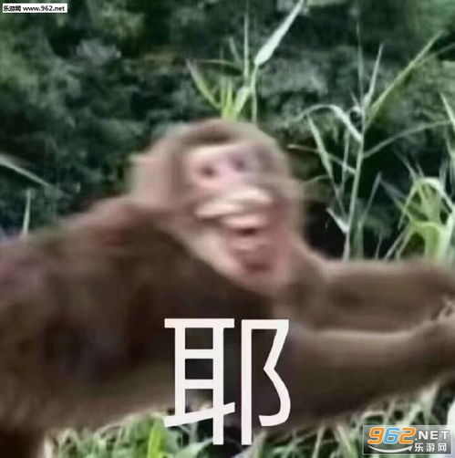 满头大汉图片请用这把娘娘枪对准我的太阳穴搞笑表情包下载乐游网游戏下载