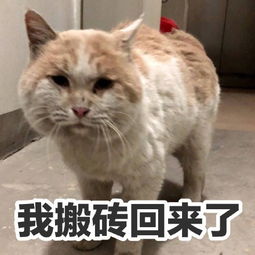 有木有适合上班搬砖的表情包