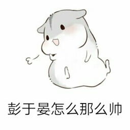 彭于晏怎么那么帅仓鼠表情包好玩吗彭于晏怎么那么帅仓鼠表情包怎么玩用户评论