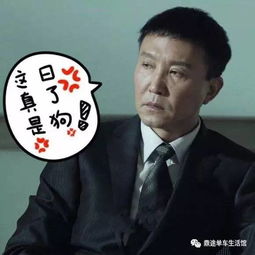 鼎途单车生活馆现招聘老板娘若干