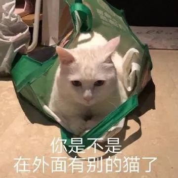 表情包小可爱来了