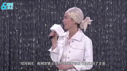 王菲现身草莓音乐节,结果把手机蹦丢了,找到手机后的表情太真实