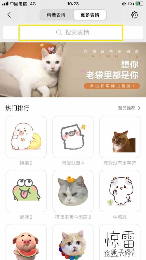 当场抓获五星街这两只网红小可爱在线撩人狂送豪礼让你快乐加倍