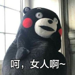 呵女人表情包熊本熊原图熊本熊呵女人表情包带字搞笑版腾牛个性网