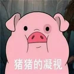 小猪火场获救,半年后被主人做成香肠送消防员,网友真是梦一场
