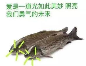 错过年中大促618,也不能错过鄱阳湖开渔620