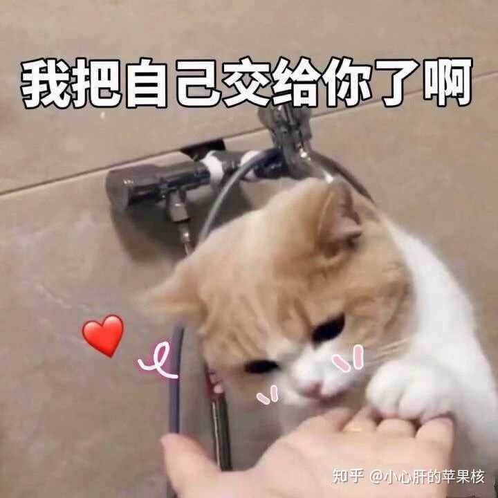 表情这种男生要去表白吗小心肝的苹果核的回答表情