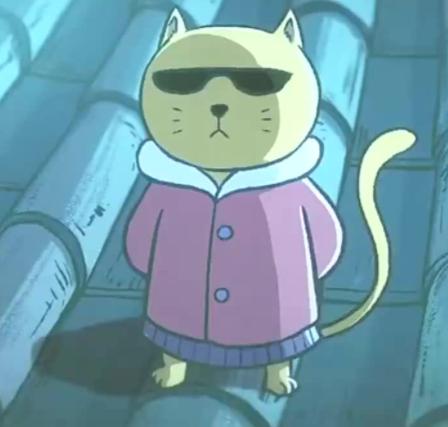 猫小咪