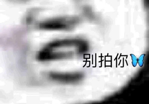 表情包熊猫头视频拍一拍