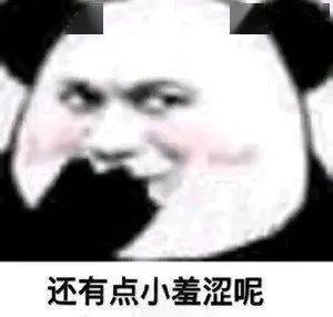 日常沙雕熊猫头表情