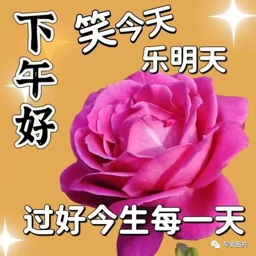 晚上好图片大全,晚上好漂亮表情图片,愿你健康好梦连连