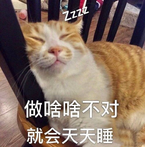 笑话段子坐长途汽车,记得一是不要坐在最后排的中间位置