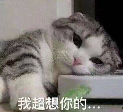 哄你家臭宝开心的皮句