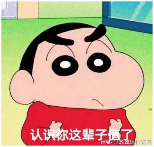 搞笑聊天表情包i你不要逼我