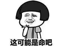 意境美图动物键盘壁纸大海搞笑gif堆糖,美好生活研究所