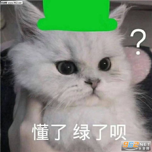群友合照复读机表情包图片我诅咒你电池电量低表情包下载乐游网游戏下载