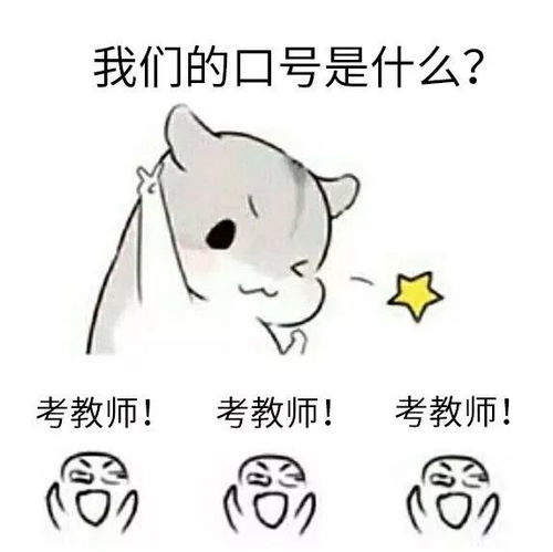 考前速效面试临考1天的抢分攻略