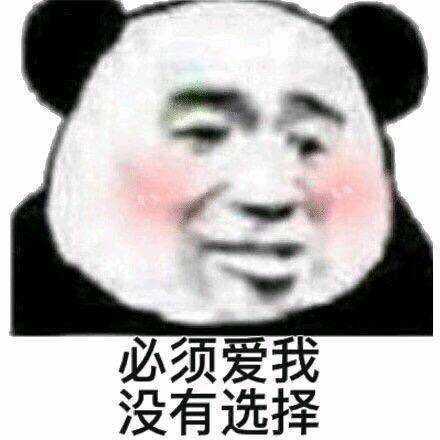 熊猫头表情包必须爱我,没有选择