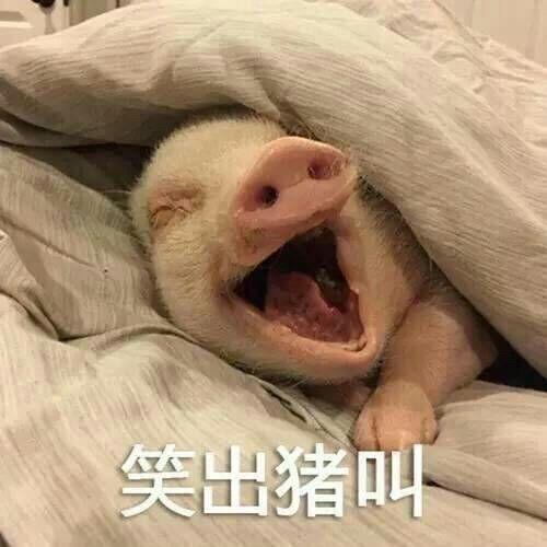 又没有人减肥完之后发现并没有脱胎换骨