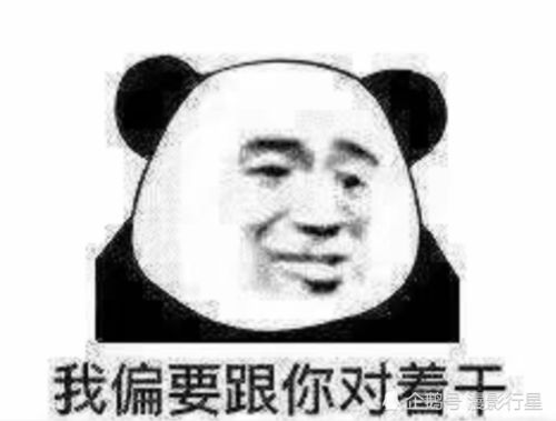 熊猫头表情包别说了,咱俩绝配