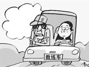 石河子开展教练车大整治,检查教练车30余辆