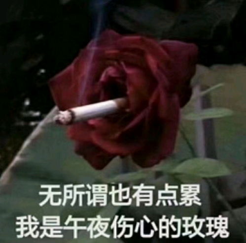 日记