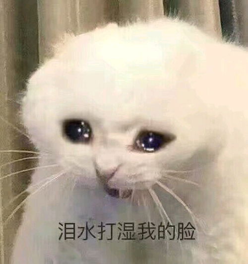 睡觉篇