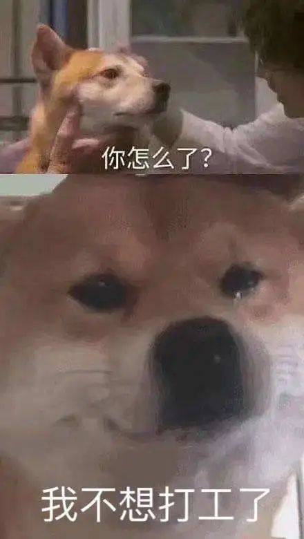 别人都在断舍离,但我还是继承了父母的囤积癖