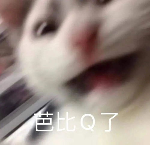 一夜之间四人禁赛被迫从发展联盟叫人啊