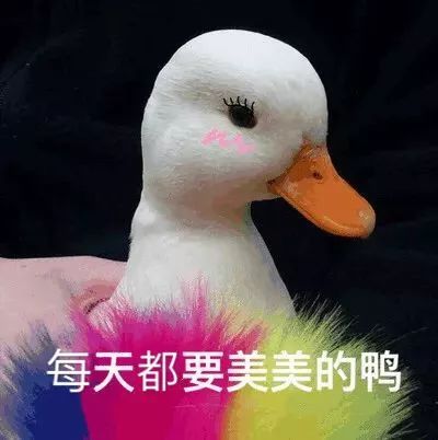 天气丨阳光充足风力强,沈阳正式开启乱穿衣模式明日气温继续升