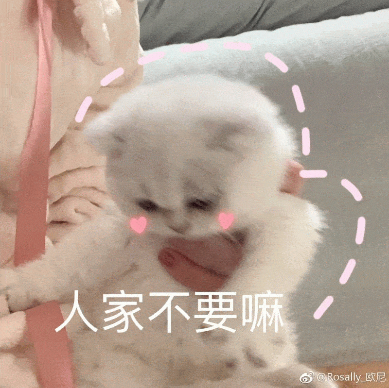 猫咪可爱女生表情包你要讲道理,还是要我