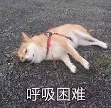 黄晓明在中餐厅菜单的翻译错误百出,各种神仙翻译亮瞎眼