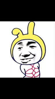 求这个表情包出处