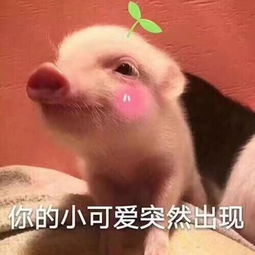 你确定真的知道雨天用灯技巧么