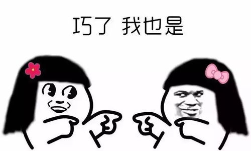 赵丽颖和冯绍峰的夫妻相,你和你家猫也有