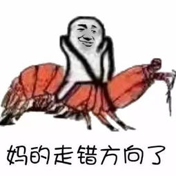 皮皮虾我们走到底是什么鬼,被刷屏了真心疼皮皮虾,被吃掉就算了,还要跨界成为表情包界的扛把子搜狐其它搜狐网