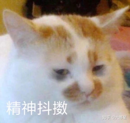 有深海恐惧症的表现是什么