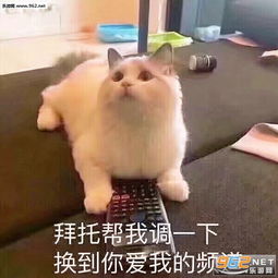 别再说了我要被气死了表情包这小王八蛋说什么呢表情包图片下载乐游网游戏下载