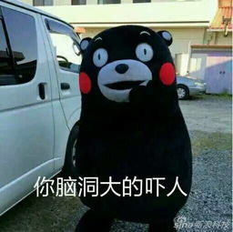 九州加油熊本不哭看那些年熊本萌萌的表情包
