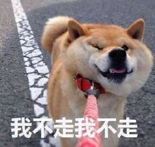 罗森全家711,盘点近期最喜欢的便利店零食都在这篇了