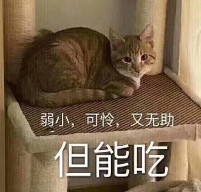 第一批90后没那么惨,除了突然孤独的那一瞬间